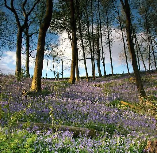 Woodlands & Pine Grange-over-Sands